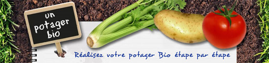 Feedburner, Twitter, Facebook, suivez Un Potager Bio