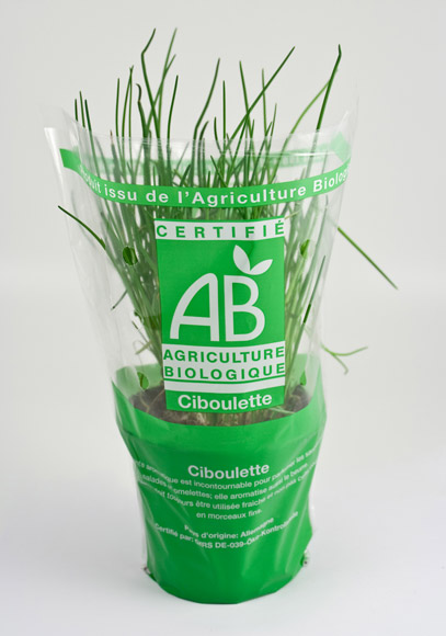 Ciboulette