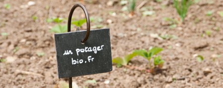 Etiquette ardoise pour le potager