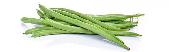 Date limite de semis des haricots verts