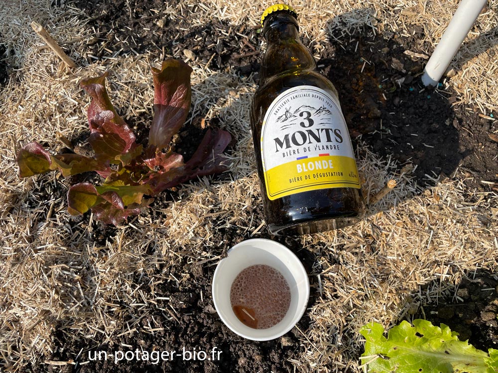 Piège à bière